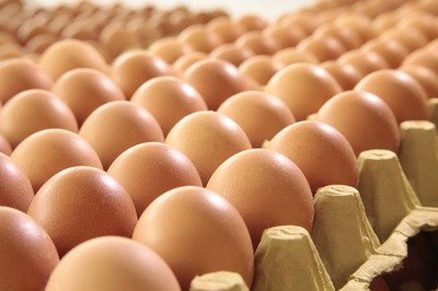 延边自治州鸡蛋检测价格,鸡蛋检测机构,鸡蛋检测项目,鸡蛋常规检测